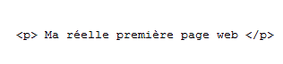  Premiere page web